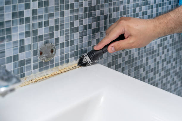 Best Home Mold Removal  in North Star, DE