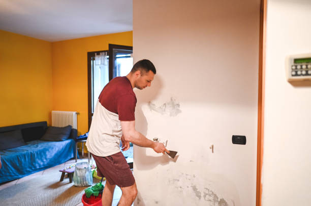 Certified Mold Removal in North Star, DE